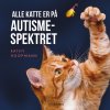 Alle katte er p� autismespektret